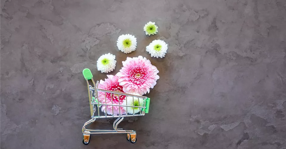 Einkaufswagen mit Blüten